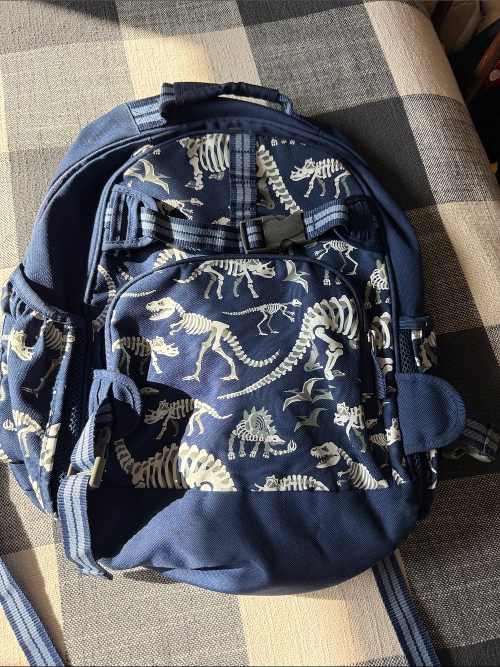 Pottery Barn Kids Navy Dinosaur Skeleton Backpack
